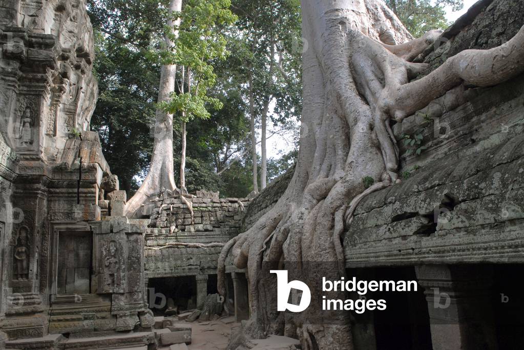 Angkor : le Ta Prohm, 2007 (photo)