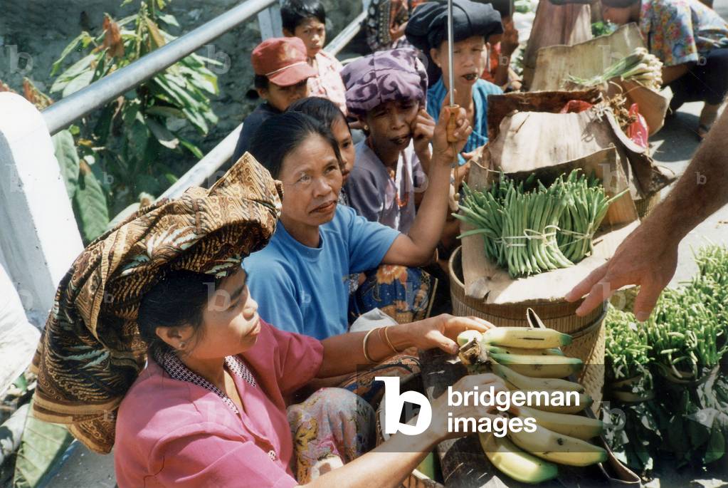 Sulawesi, 2003 (photo)