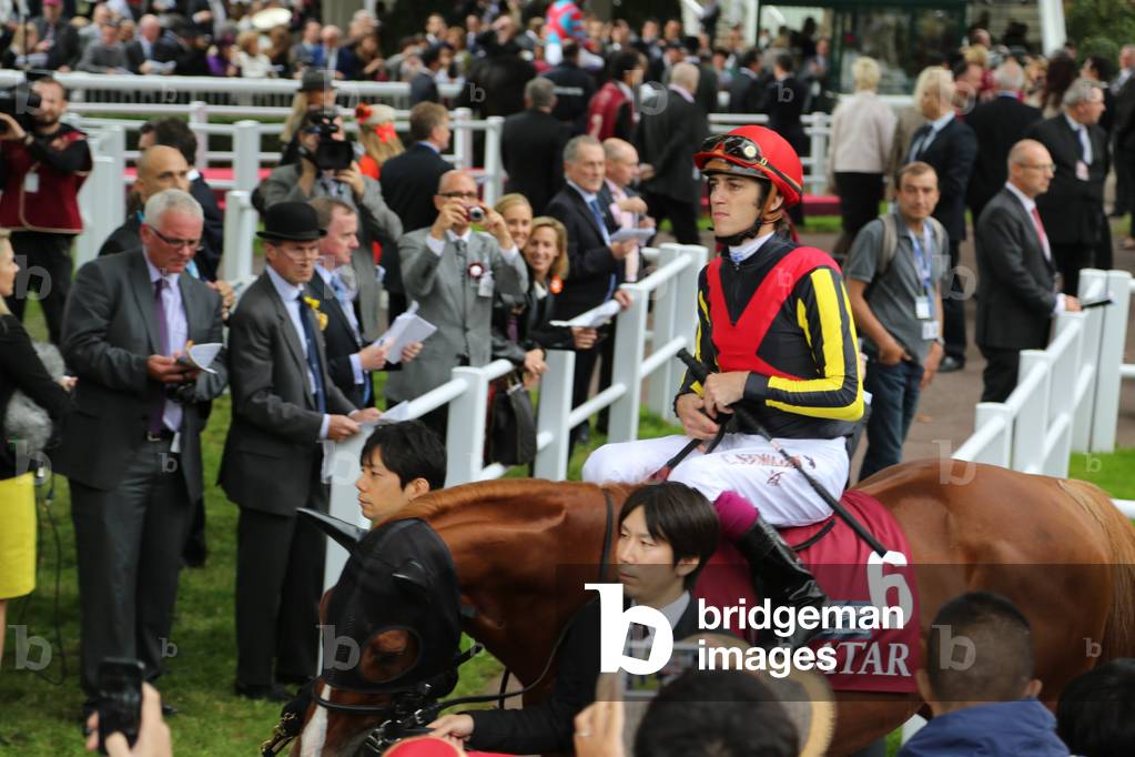 Prix de l'Arc de Triomphe, 2013 (photo)