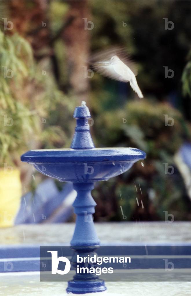 Fontaine, 2003 (photo)