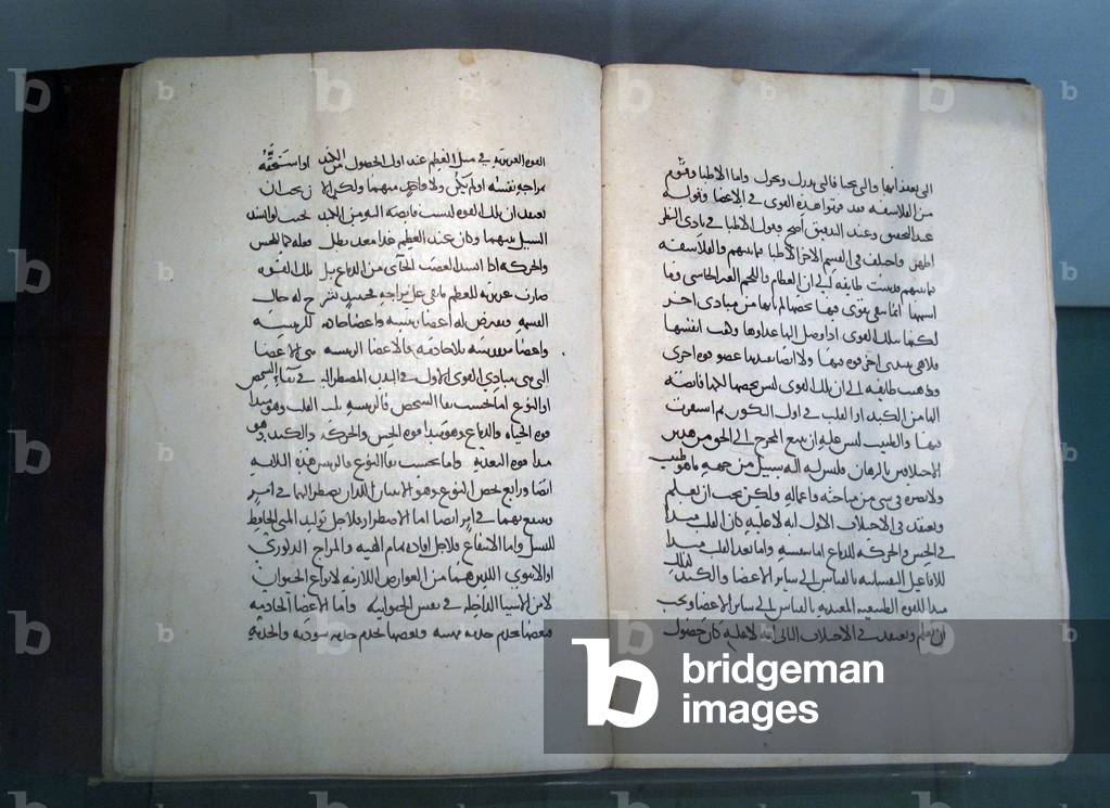 The Book of War - Ibn Sina, 10th century (manuscript)