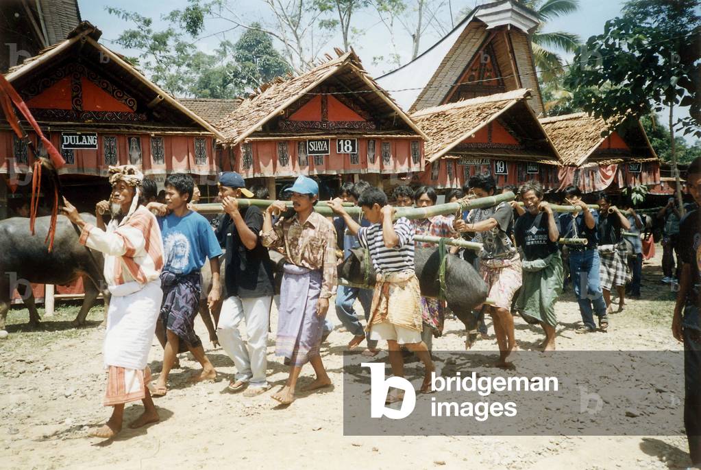 Sulawesi, 2003 (photo)