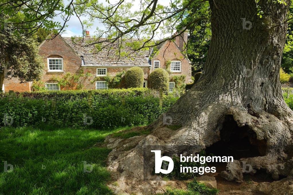 South face of Shandy Hall (photo)