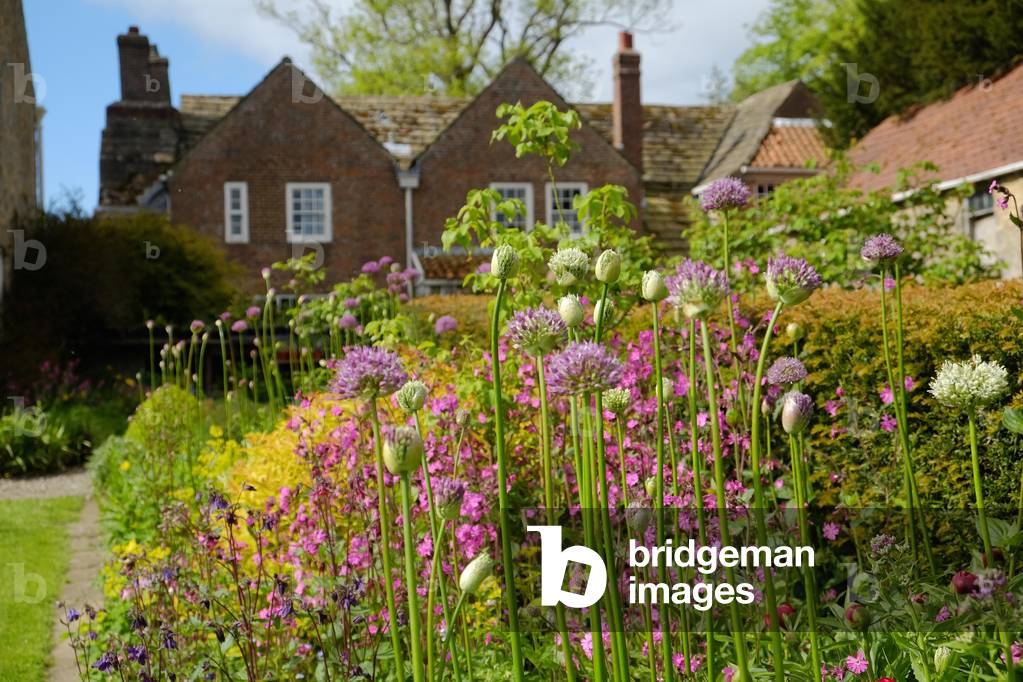 Garden, Shandy Hall (photo)
