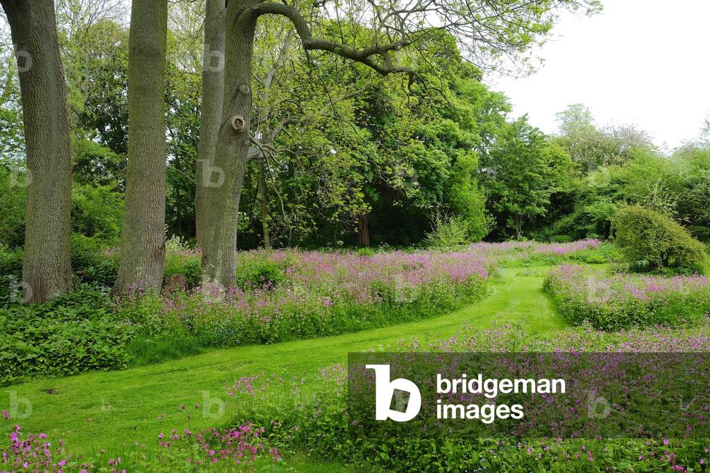 Wild garden, Shandy Hall (photo)