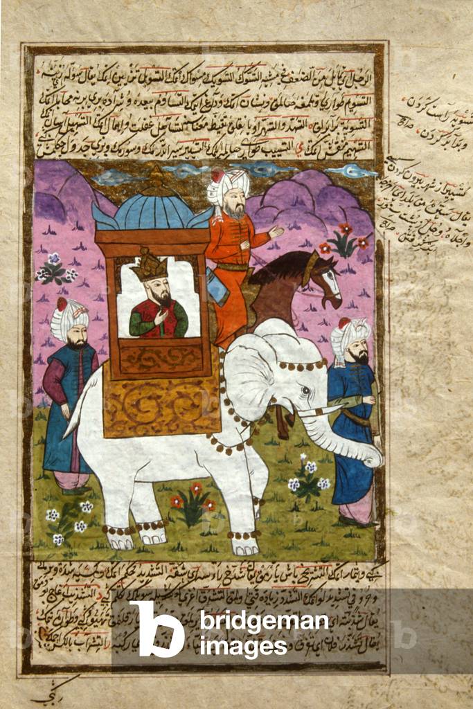 Sultan on elephant
