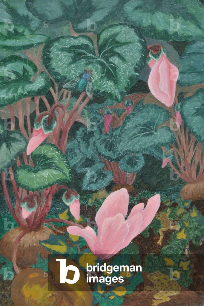Cyclamen and Toads (oil on board)