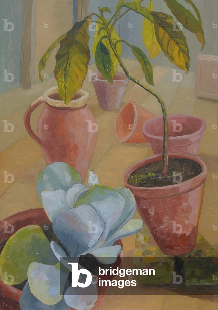 Succulent and Pots, Benton End (oil on board)