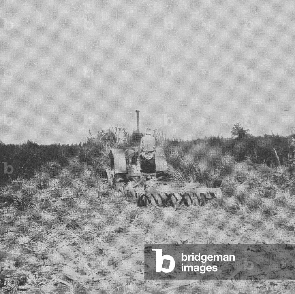 A Farmer Using An Oliver Offset Disc Harrow