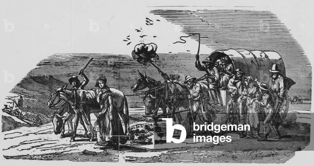 Joshua Shaw's 'Crossing The Plains'