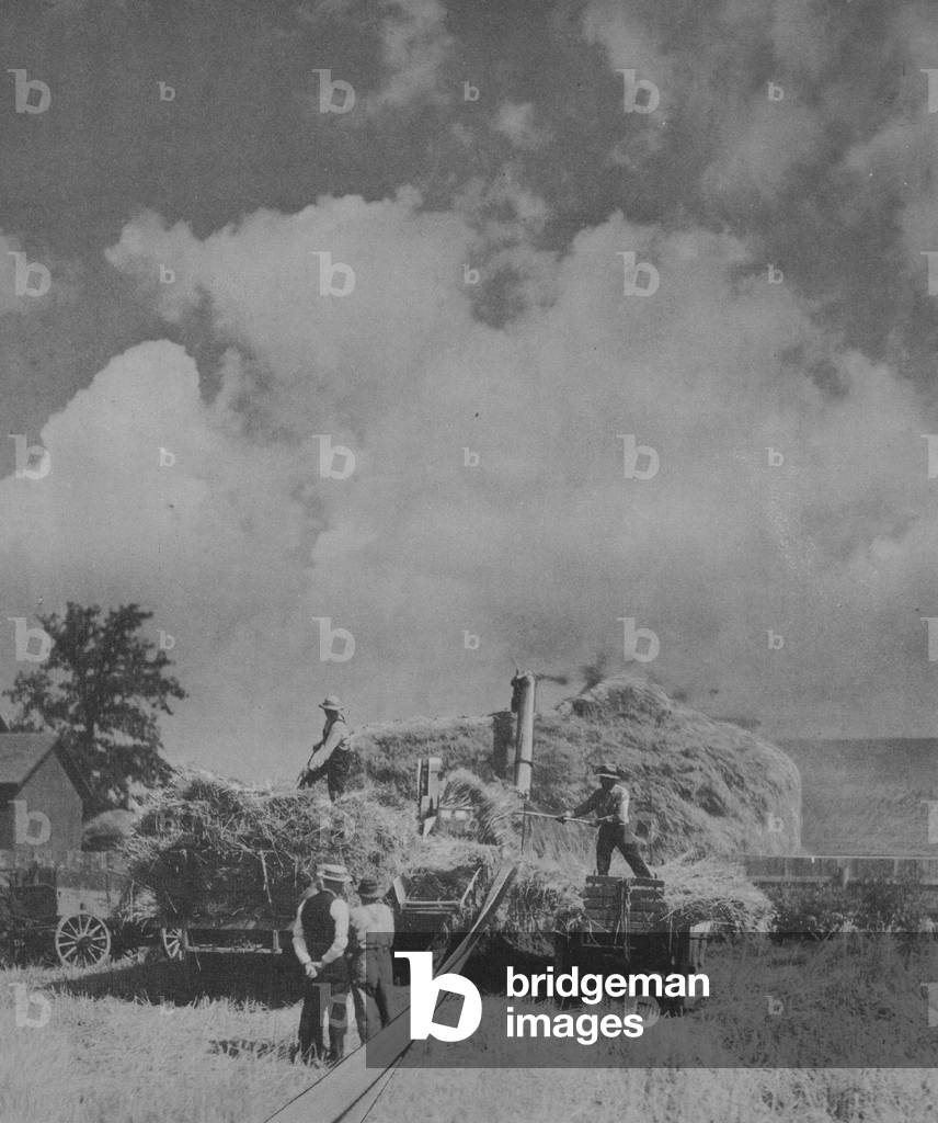 Men Working On A farm Using Oil Pull Tractors, Harvesters And Steel Threshers