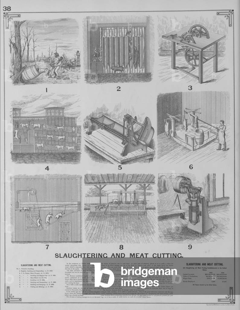 Slaughtering And Meat Cutting