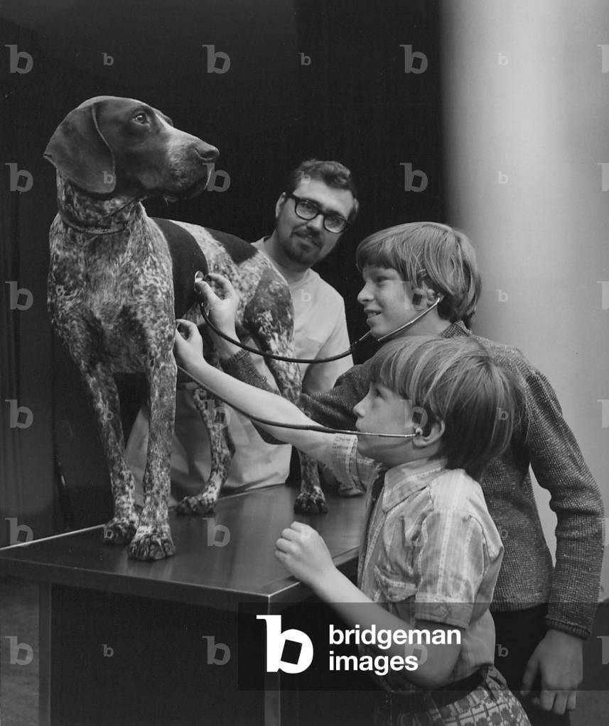An Image Of Two Boys Listening To The Heart Beat Of A Large Dog