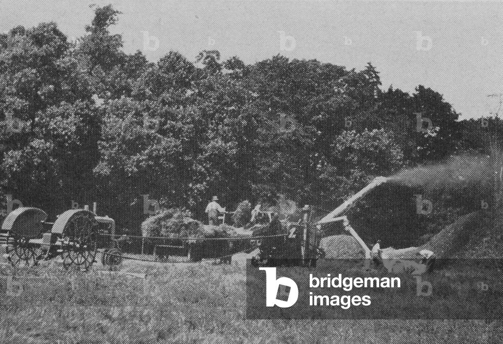 Oliver Row Crop Tractor