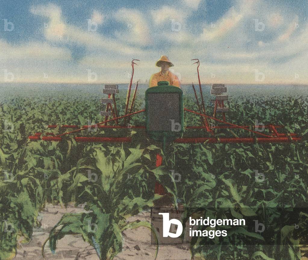 Oliver Hart-Parr Row Crop Tractor Equipped With A Four-Row Cultivator Attachment