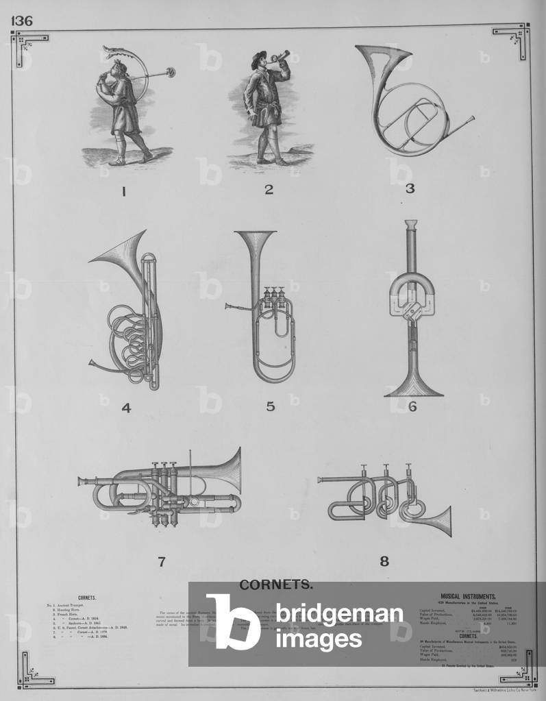 Musical Instruments - Cornets