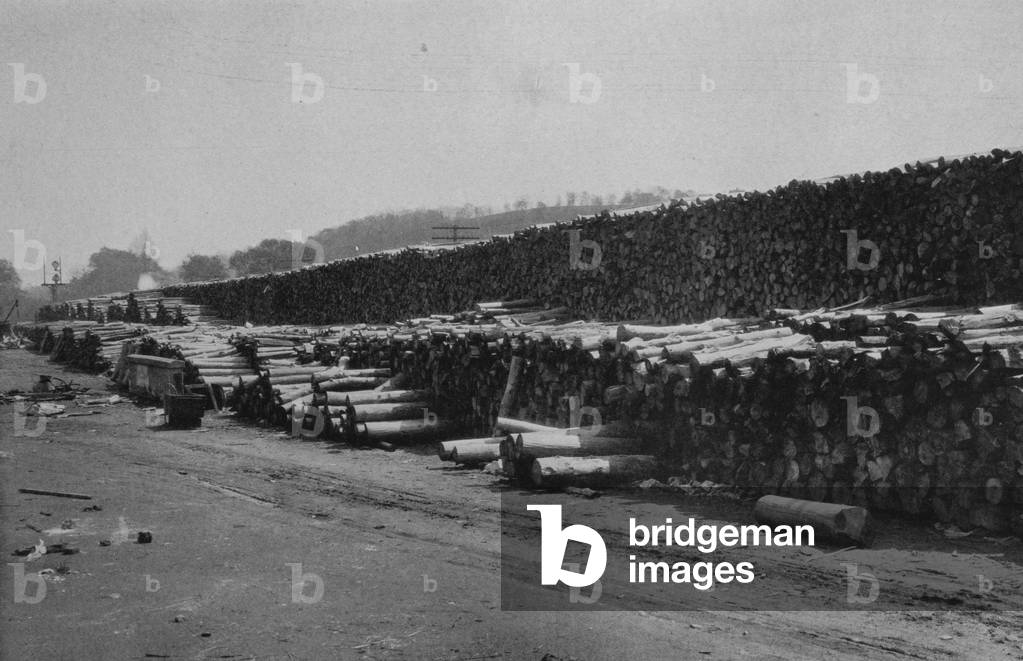 The Riverside Mill Wood Yard