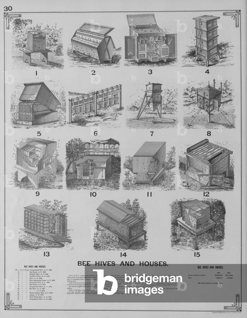 Bee Hives And Houses