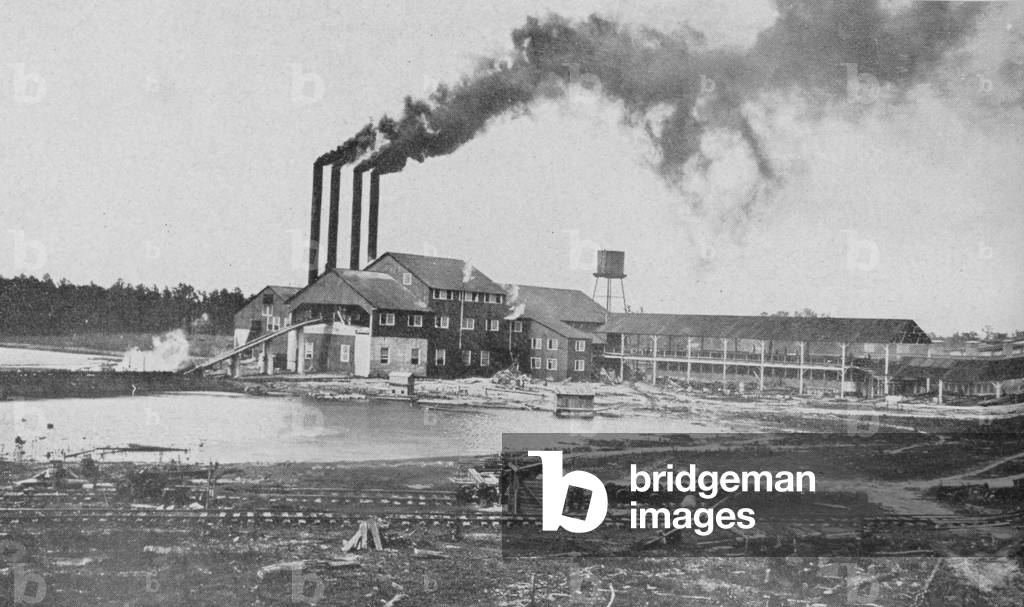 The Sumter Lumber Company Which Is Fully Outfitted With Allis Chalmers Equipment