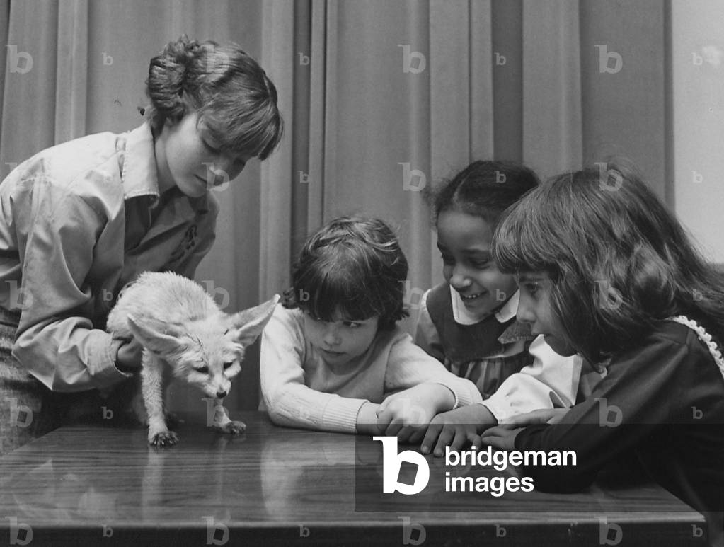 A Group Of Children Looking At A Fox