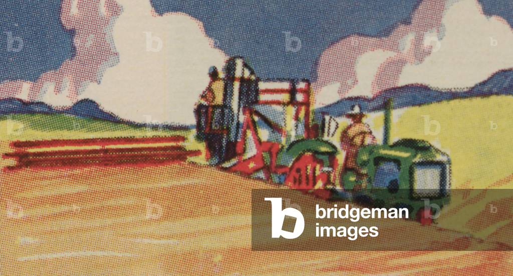 Oliver Hart-Parr Row Crop Tractor Equipped With A Harvester