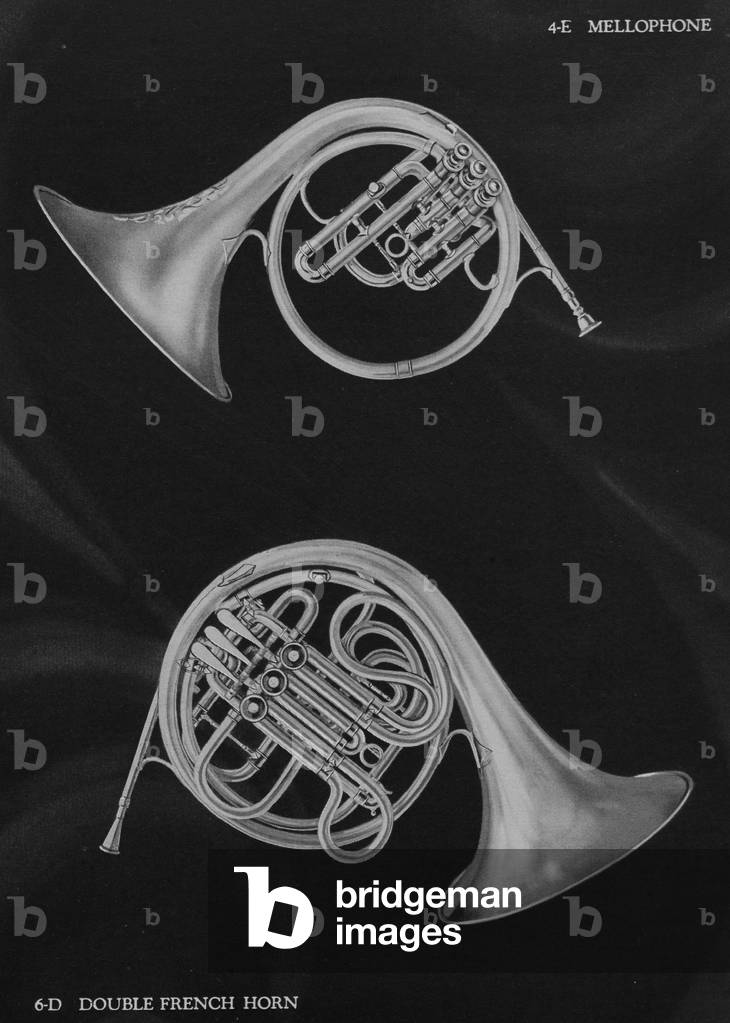 A Charles Gerard Conn Mellophone 4-E With Slides To E, D And C And A Double French Horn 4-E With F, B And Rotary Valves