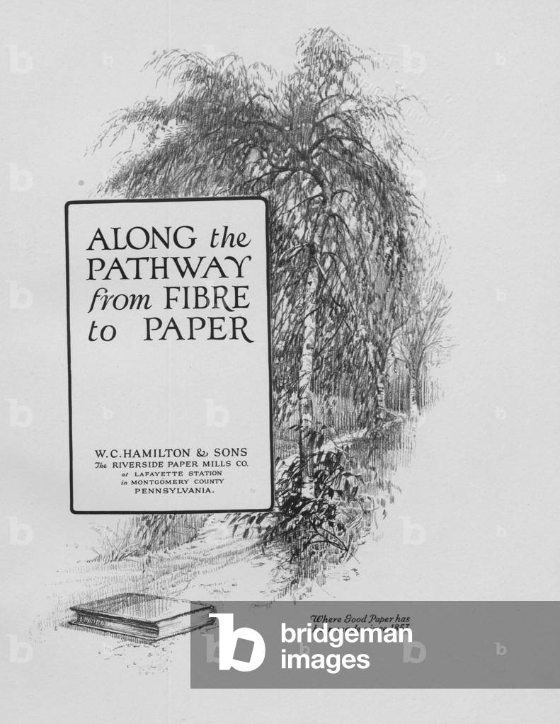 An Illustration Showing A Path Through The Woods From 'Along The Pathway From Fibre To Paper' ,By W. C. Hamilton And Sons /The Riverside Paper Mills Company, PA