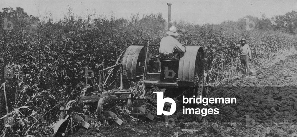 A Farmer Driving An 18-36 Hart-Parr Tractor