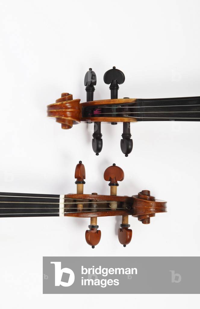 Two violin scrolls, one baroque, one classical violin