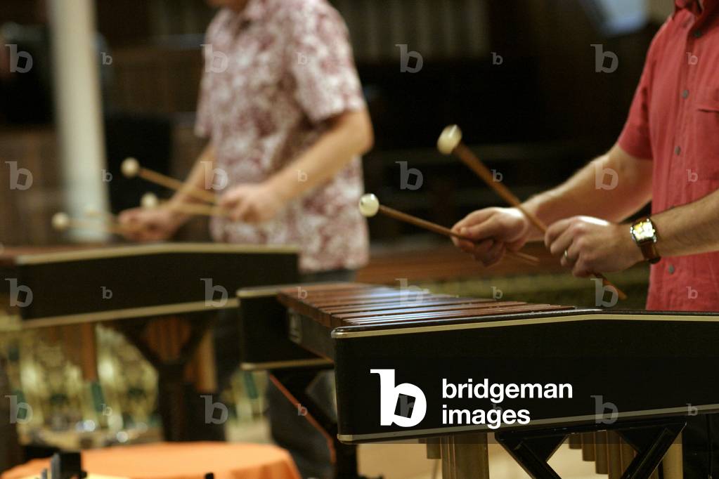 Xylophone - Close-up of