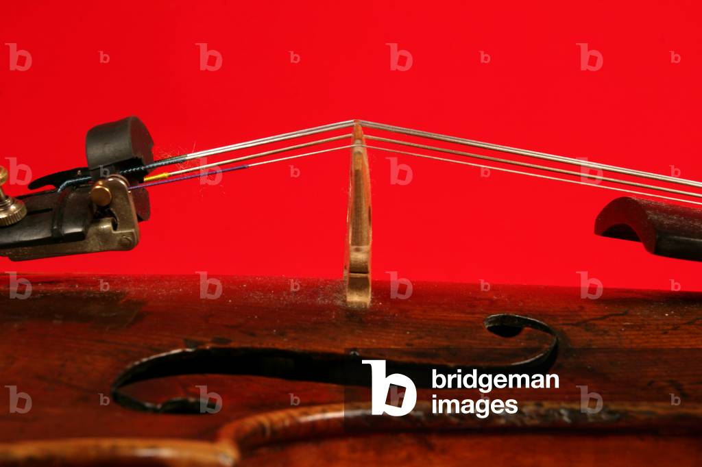 Vioin bridge and strings
