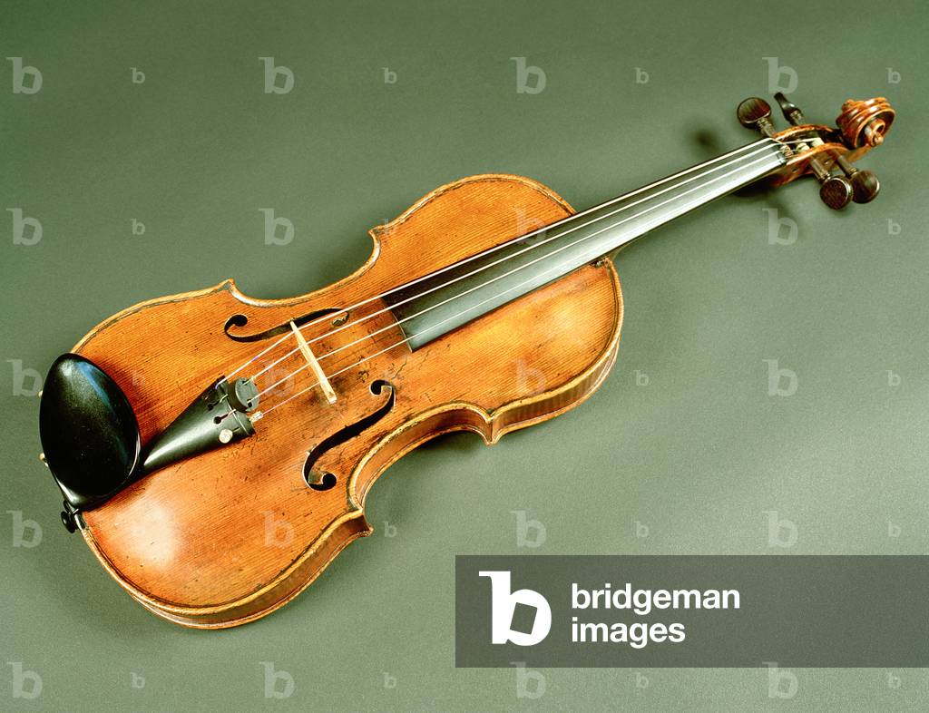 Violin attributed to P