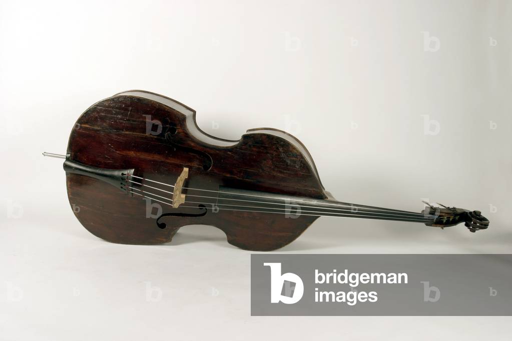 Double Bass - view