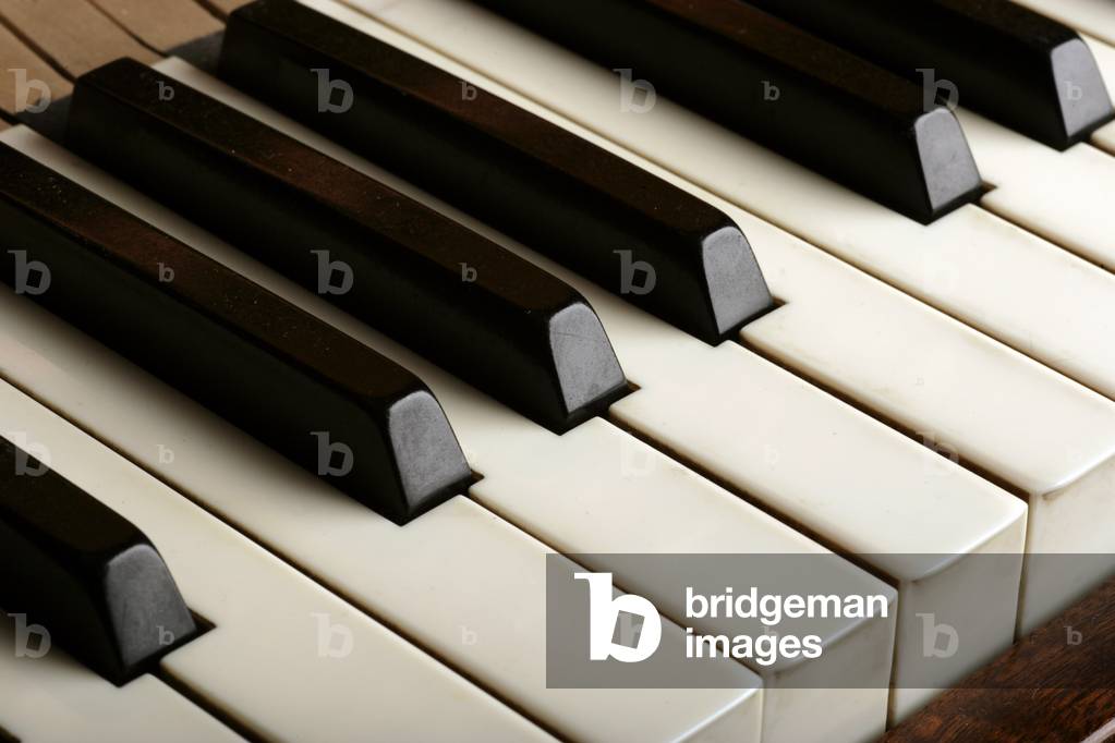 Piano keyboard - showing