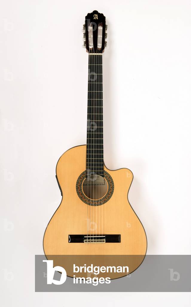Acoustic guitar