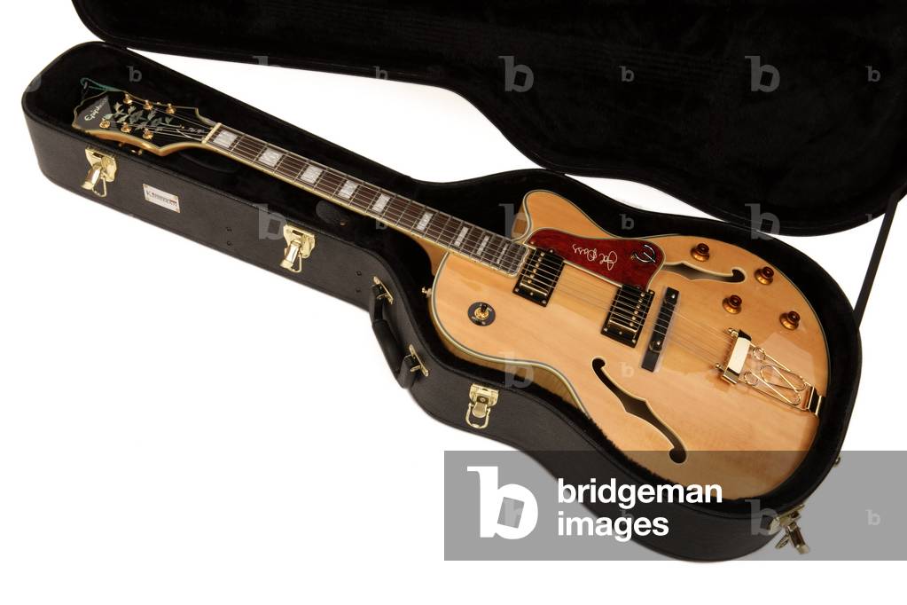 Semi acoustic Guitar