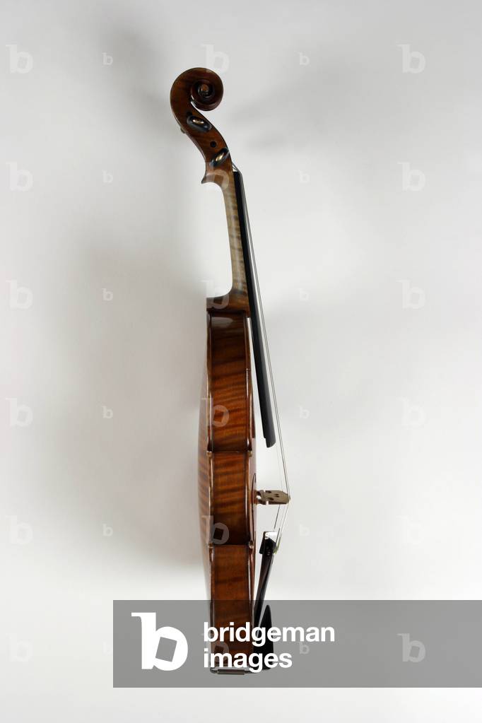 Violin - view from