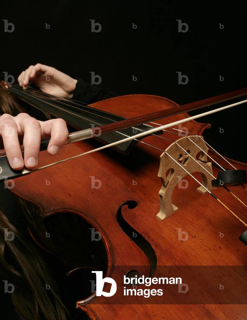 Cello - woman in playing position, cellist