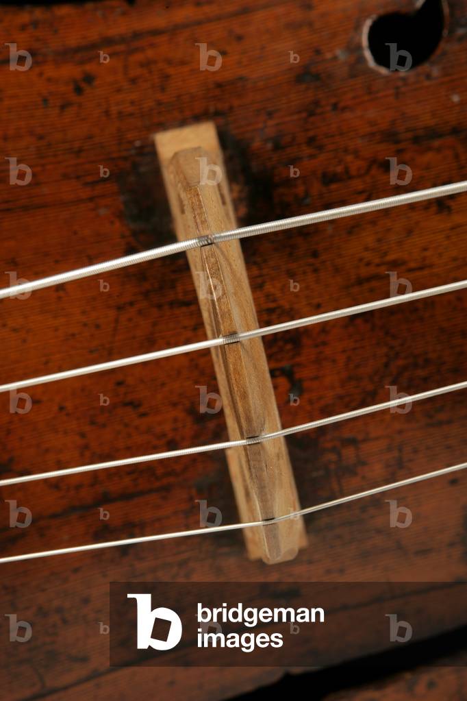 Detail shot of a Double Bass showing strings f hole and bridge,