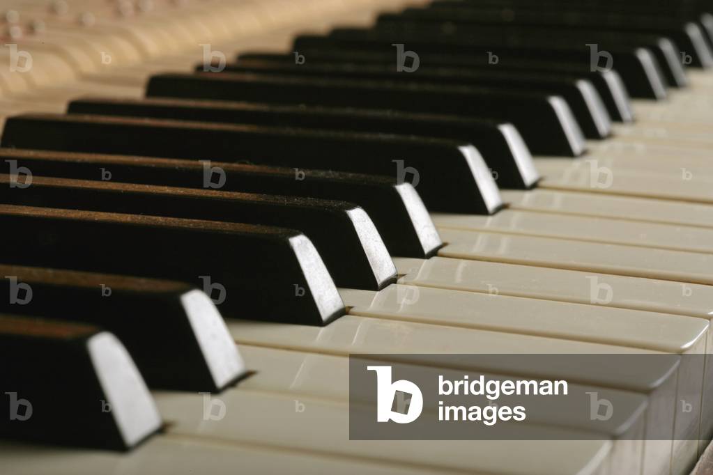 Piano keyboard - showing