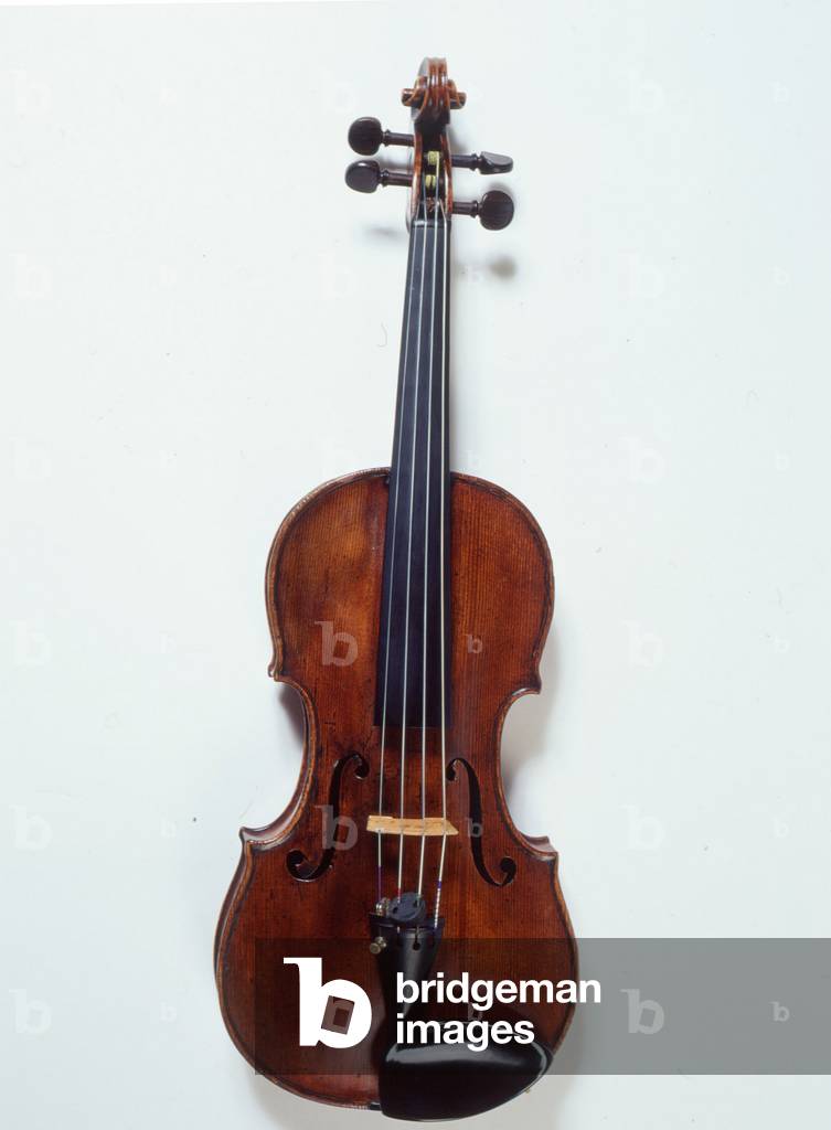 Violin full size with