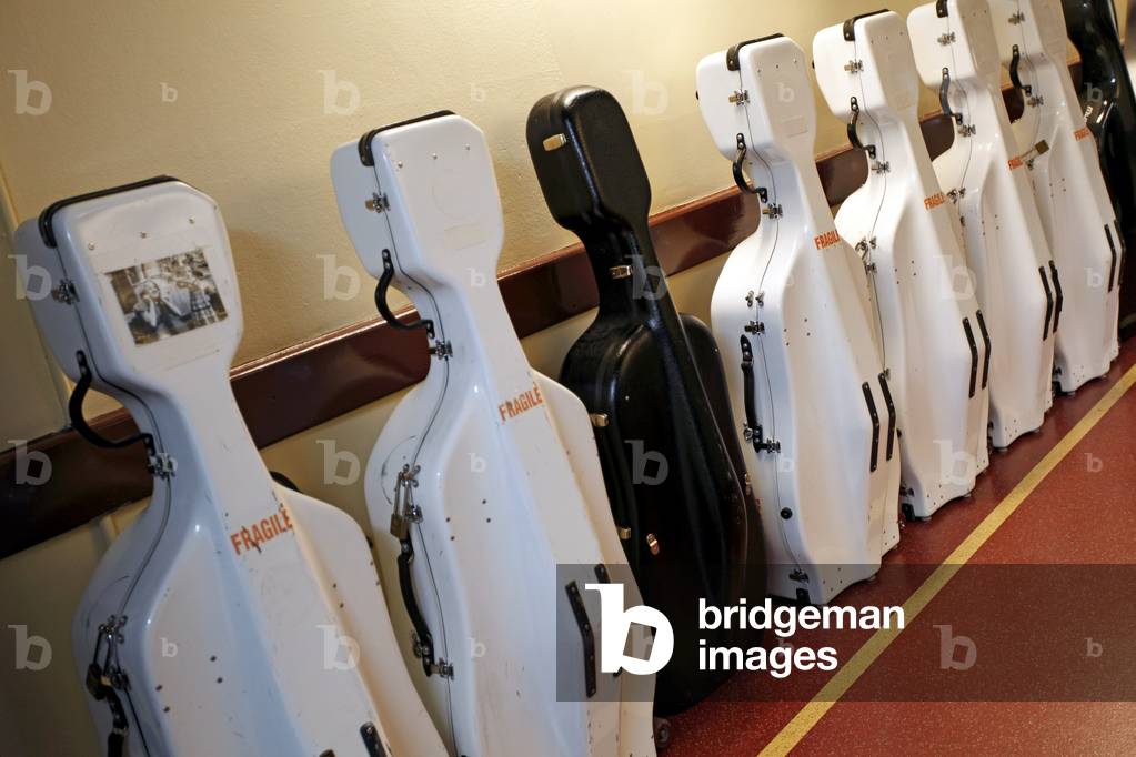 Line of cello cases