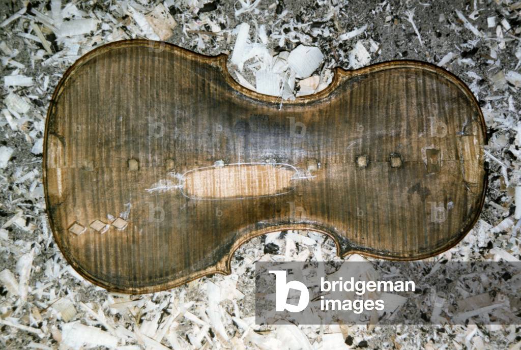 A violin being repaired: