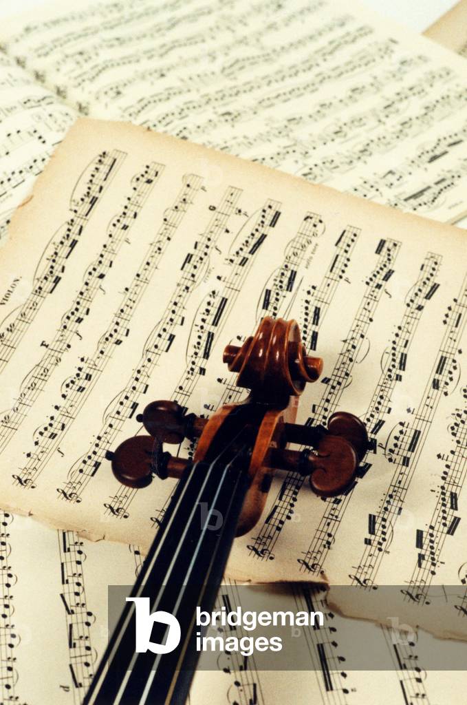 INSTRUMENTS STRING VIOLIN neck