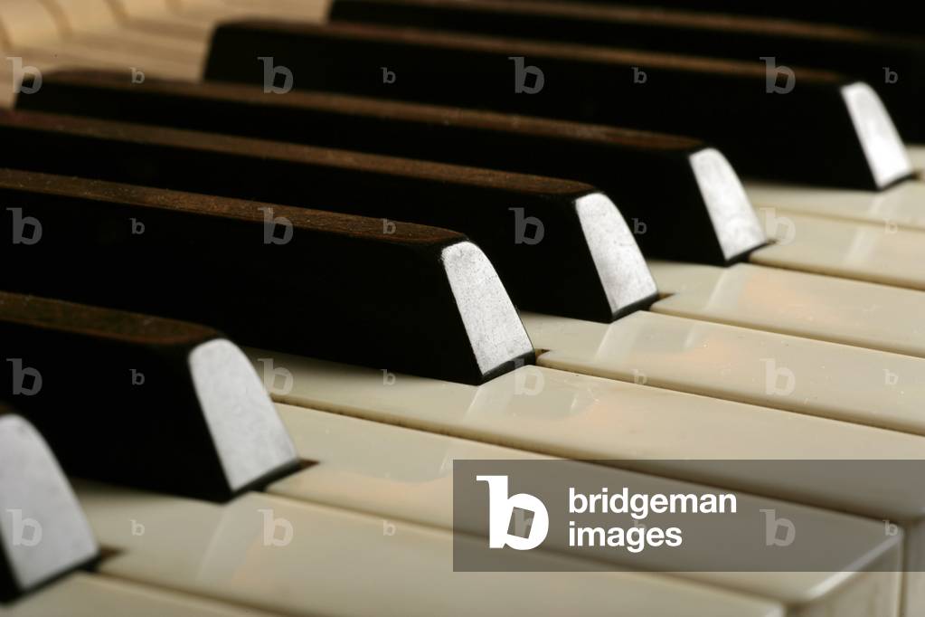 Piano keyboard - showing