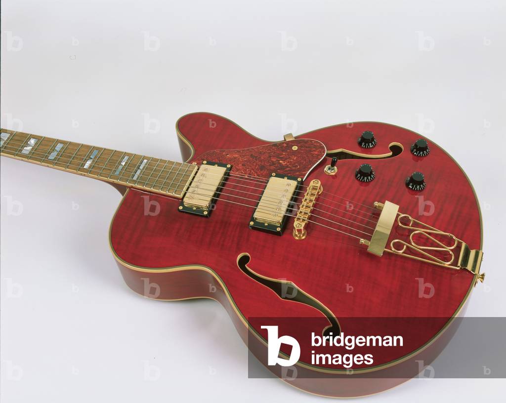 Electric guitar (semi-acoustic) by