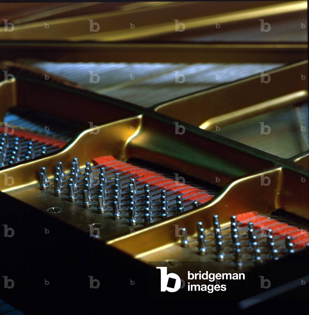 INSTRUMENTS - KEYBOARD