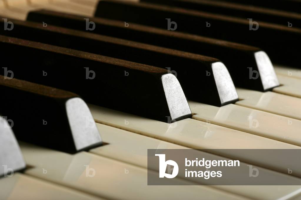 Piano keyboard - showing