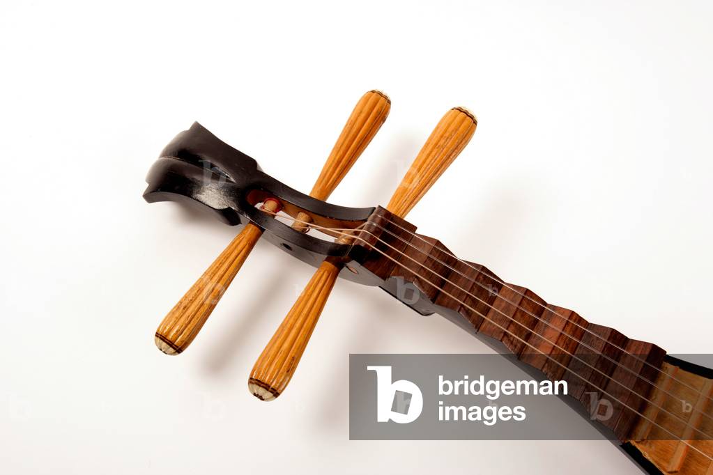 Chinese Pipa