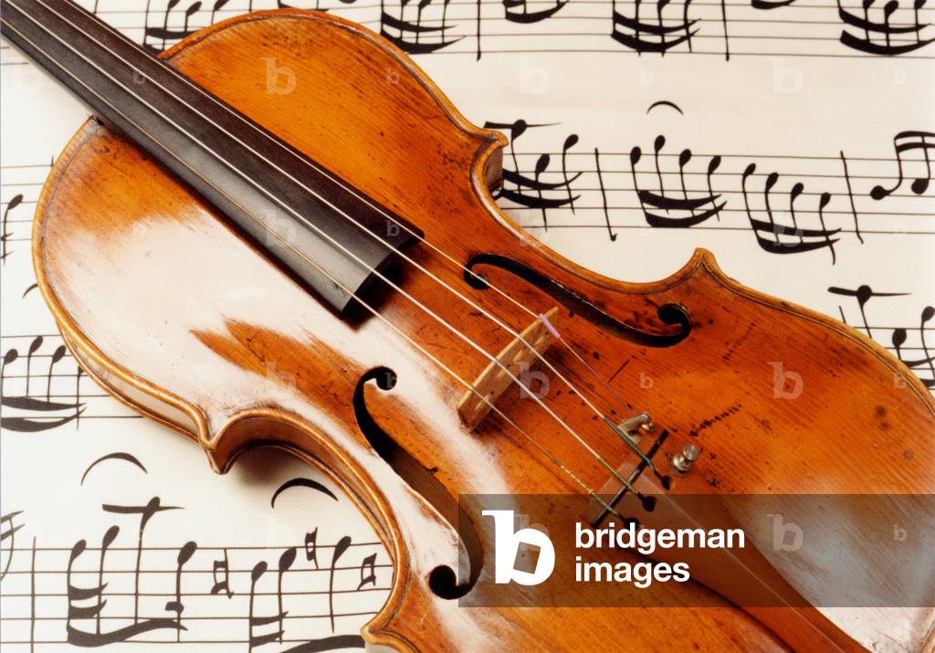 Violin on music background